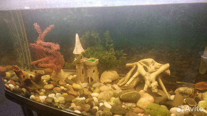 Аквариум с тумбой Jebo NewR3100