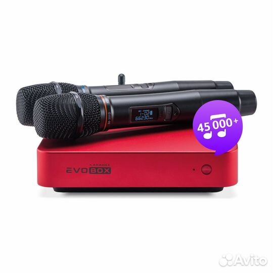 Караоке EvoBox Plus Ruby с микрофонами + EvoCase