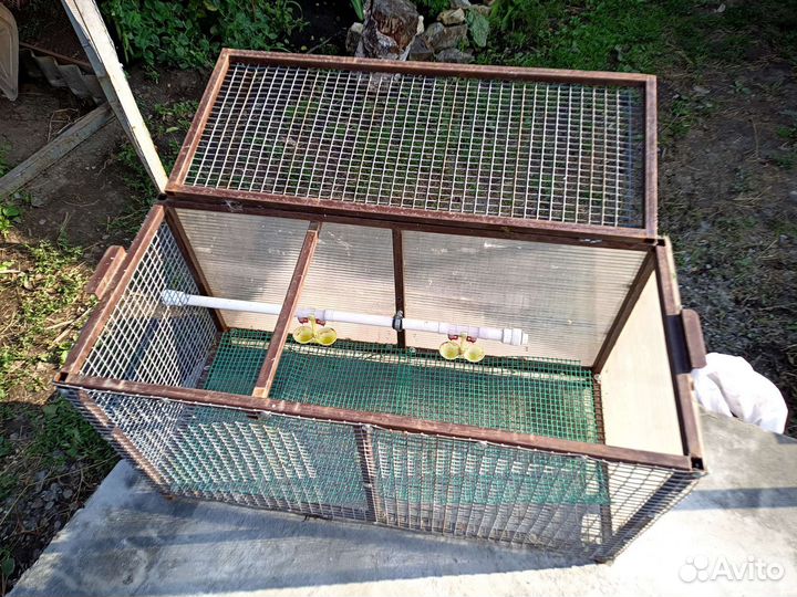 Клетка для цыплят
