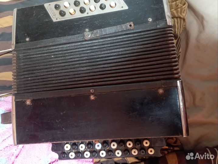 Баян времён нэпа