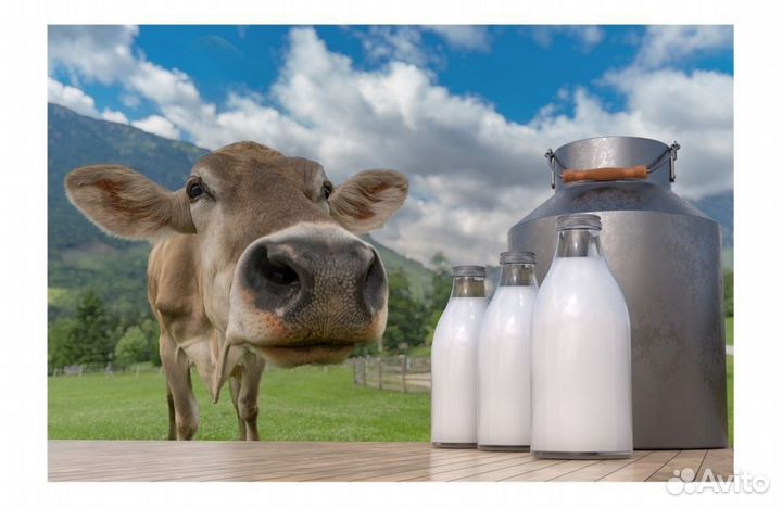 Молоко доставка по Симферополю
