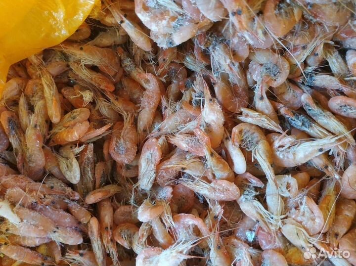 Креветка азовская с доставкой