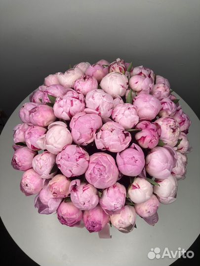 Цветы пионы доставка