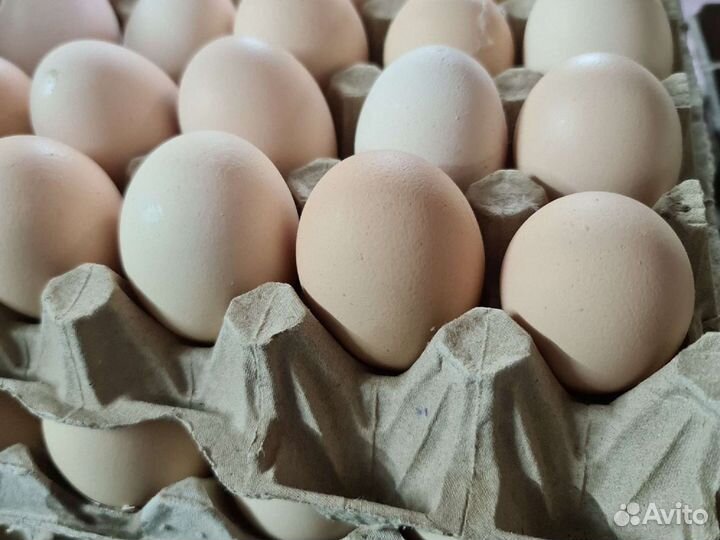 Фермерские, фабричные, куриные яйца