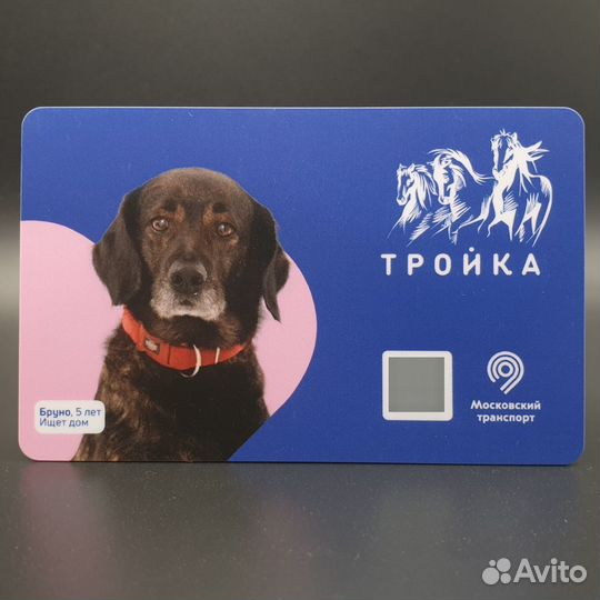 Карта Тройка Собака Бруно. Проект Хвосты и лапки