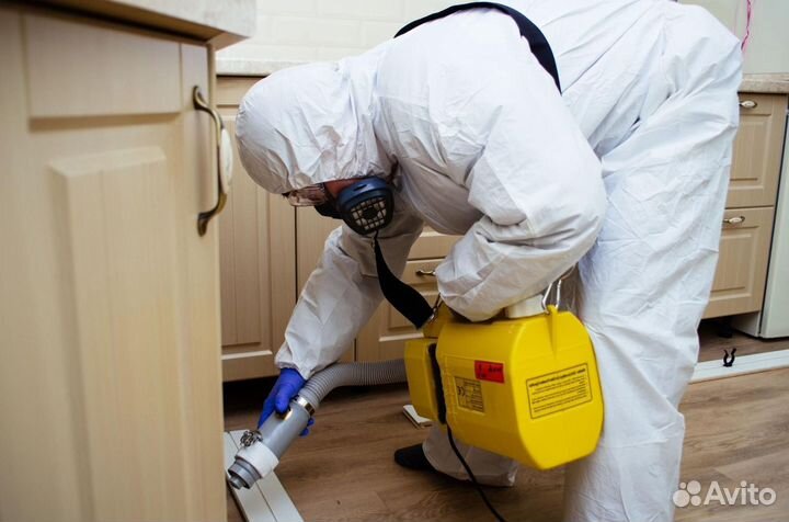 Уничтожение тараканов, клопов, мух, мышей, крыс