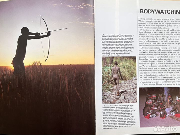 Desmond Morris Bodywatching