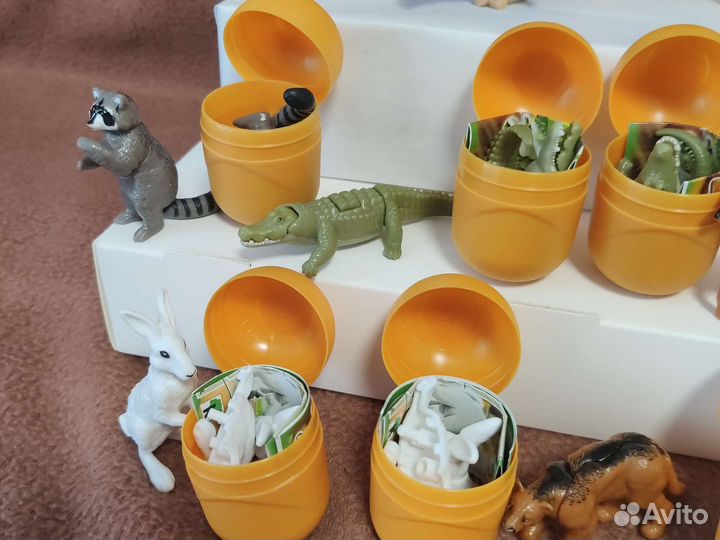 Киндер натунс