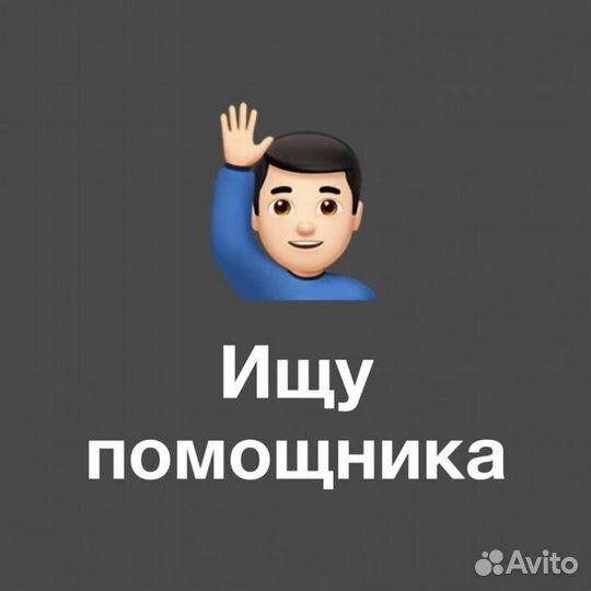 Помощник руководителя по тендерам (удаленно)