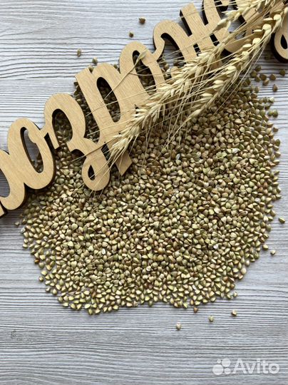 Зеленая гречка