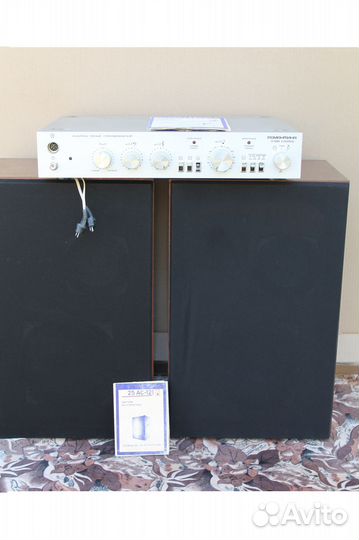 Колонки 25ас121