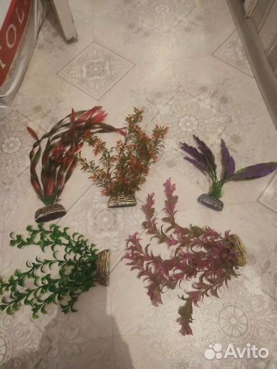 Фильтр сачек подсветка растения камни