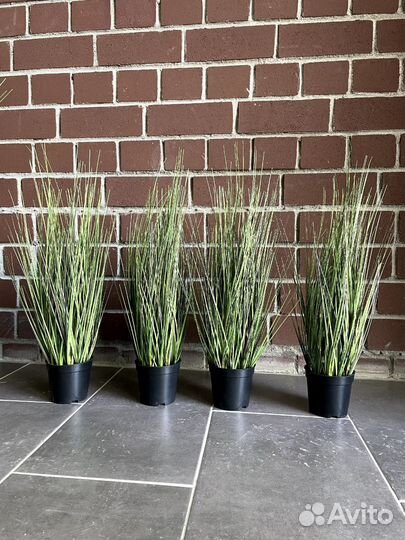 Искусственные растения для декора