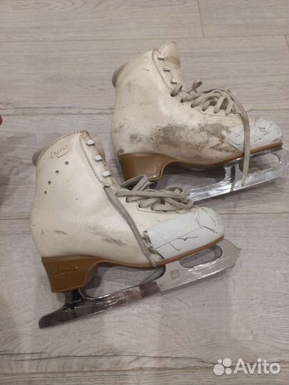 Фигурные коньки edea chorus 235