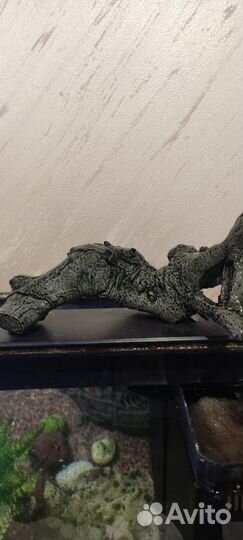 Декор и грунт