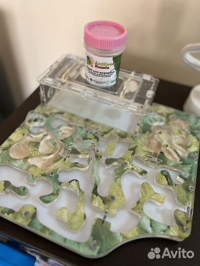 Формикарий муравьиная ферма