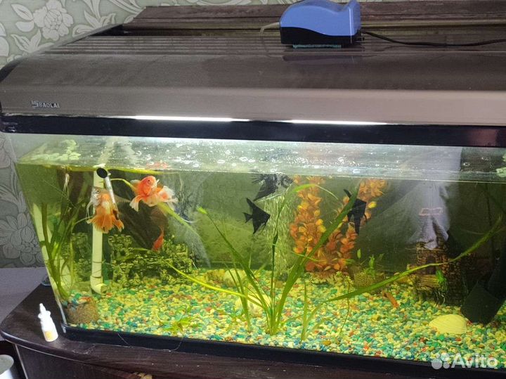 Аквариум