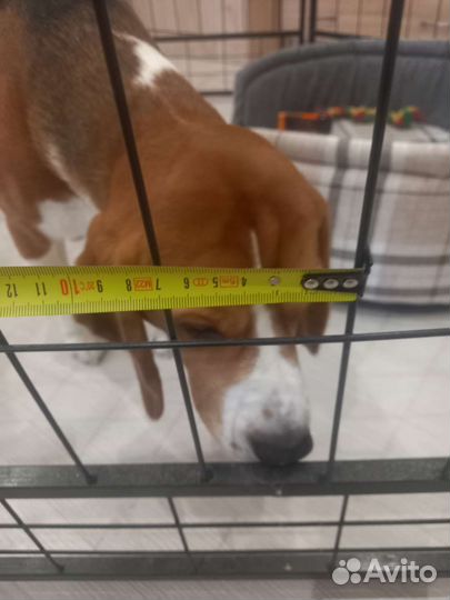 Клетка вольер для собак