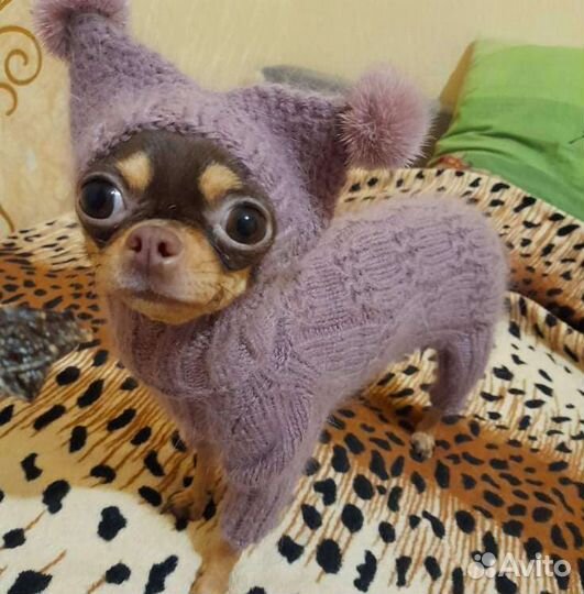 Вязаная одежда для ваших маленьких хвостиков