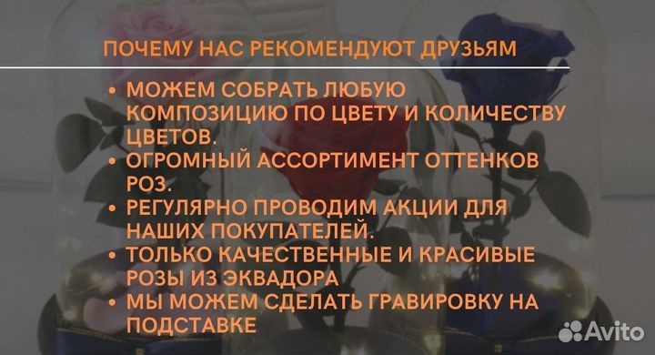 Роза в колбе живая