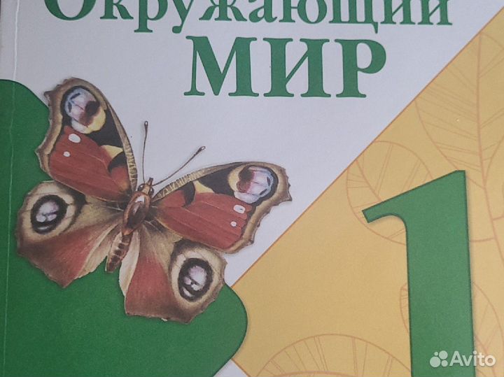 Новый,2024год