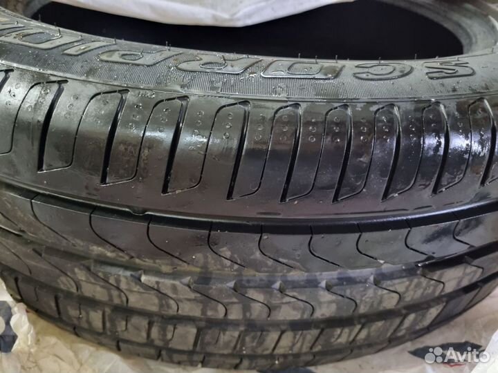 Pirelli Scorpion Verde 225/55 R19 99V