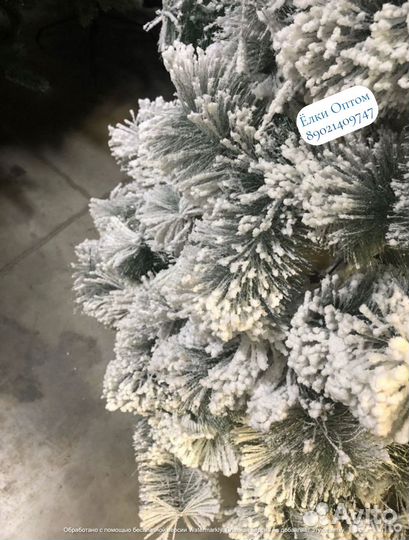 Ёлки оптом