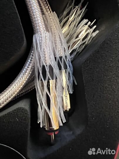 QED Signature Audio 40