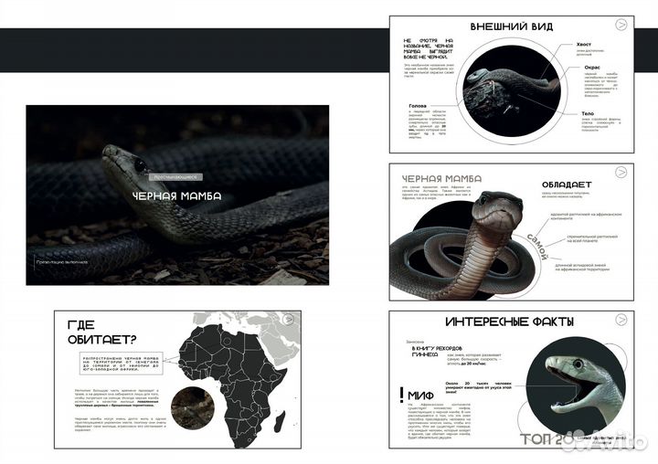 Создание презентаций