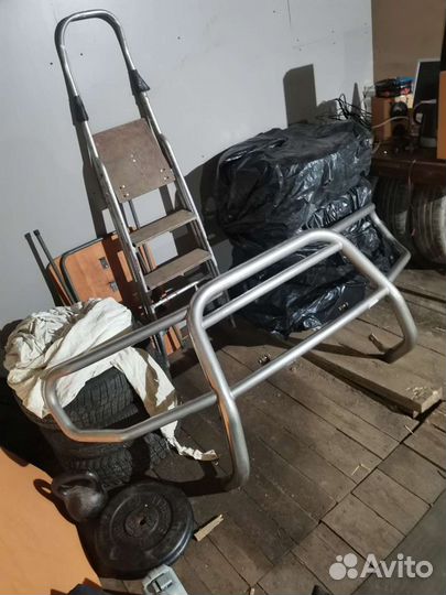 Кингурятник