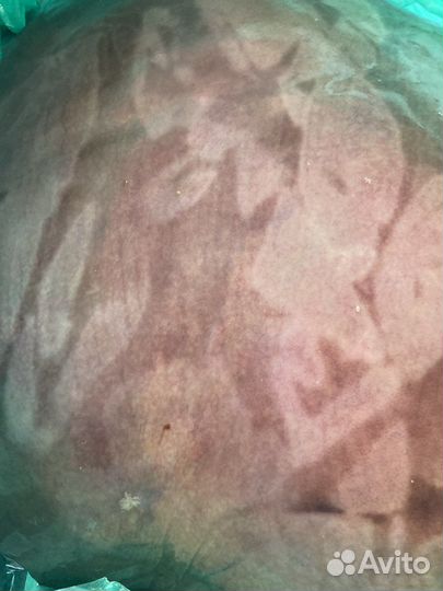 Говяжьи обрези для собак