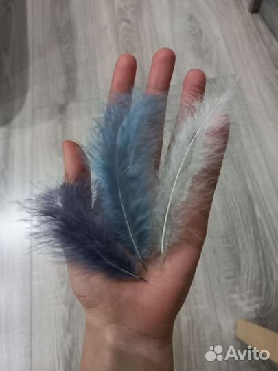 Перья декоративные