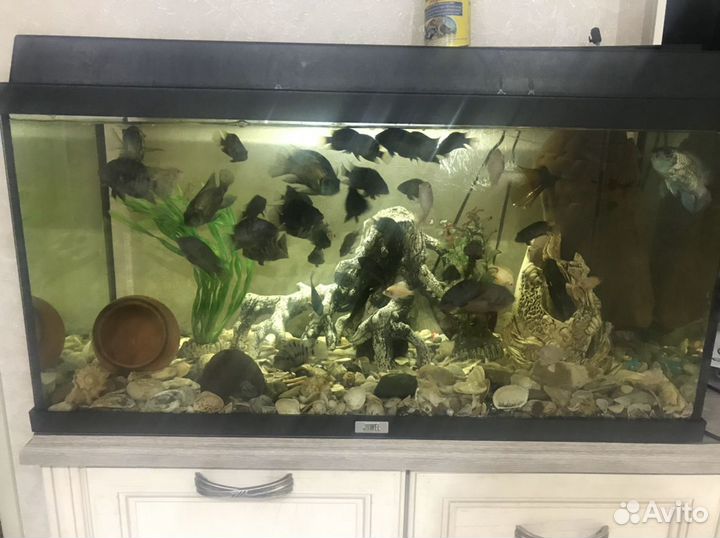 Продам аквариум 129 литров Jewel с рыбками