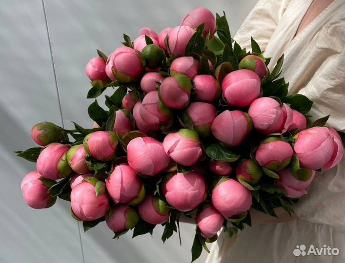 Букет роз с доставкой по спб и ло