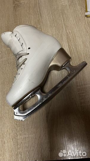 Фигурные коньки Edea Chorus 260 + Matrix Legacy