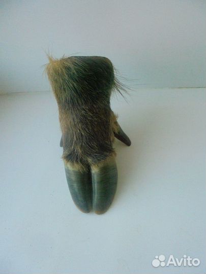 Охотничий трофей: пепельница из копыта кабана