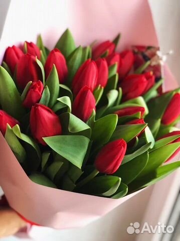Тюльпаны к 8 марта объявление продам