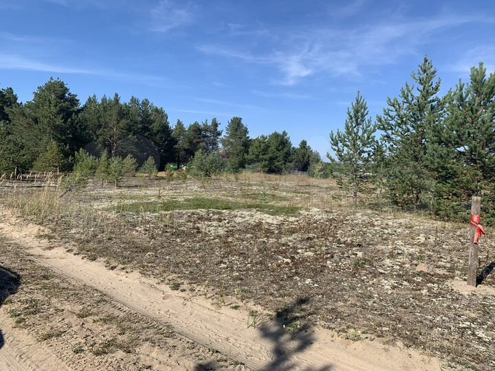 Участок 15 сот. (ИЖС)