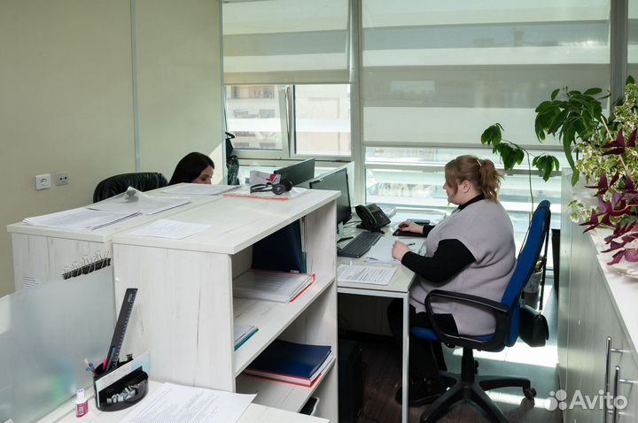 Бухгалтерские услуги / Бухгалтерское сопровождение