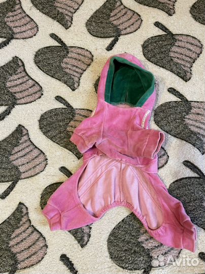 Одежда для собак