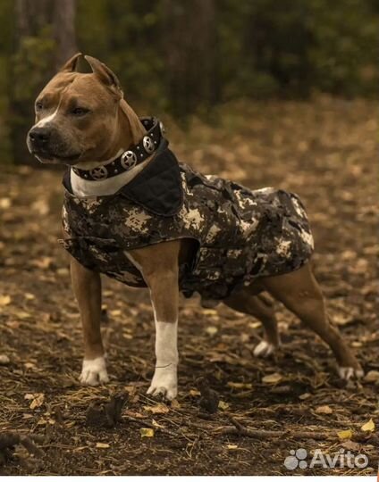 Попона для собак 35, 40 и 60 см новые