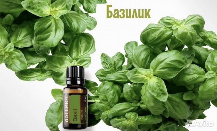 Doterra эфирное масло Базилик, 15 мл