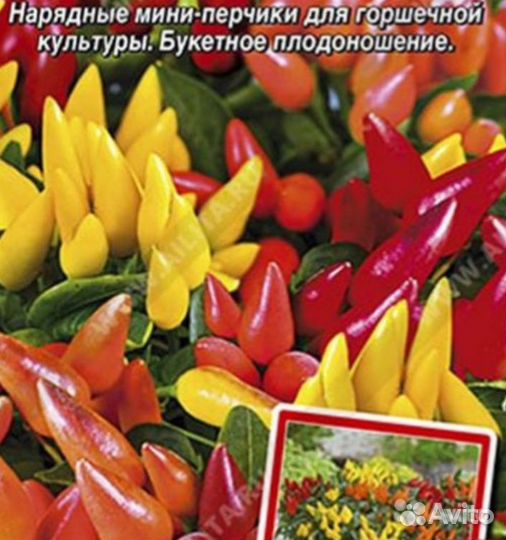 Перец Острый - Огненный Букет