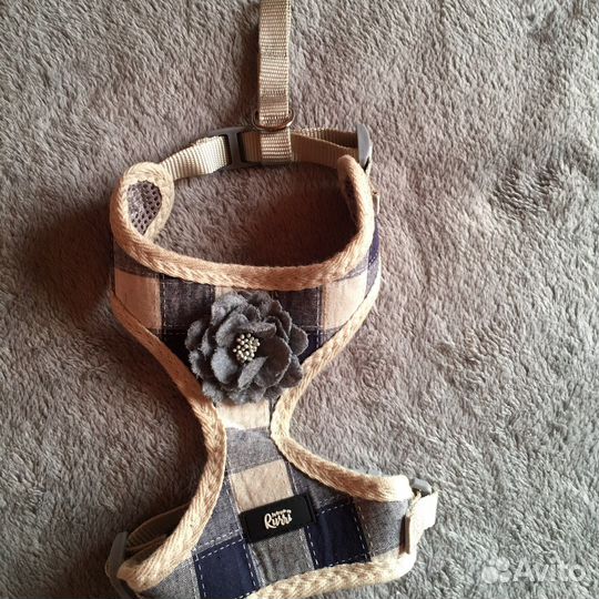 Одежда для собак мелких пород