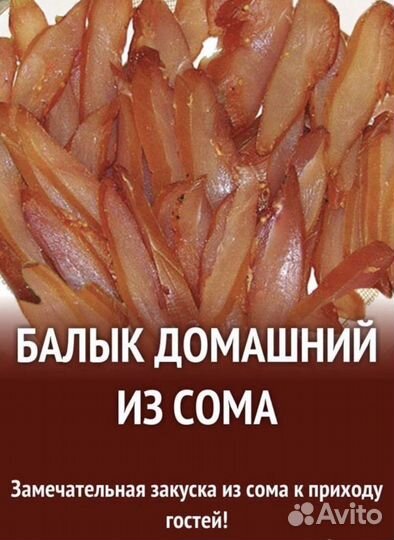 Свежая речная рыба, филе