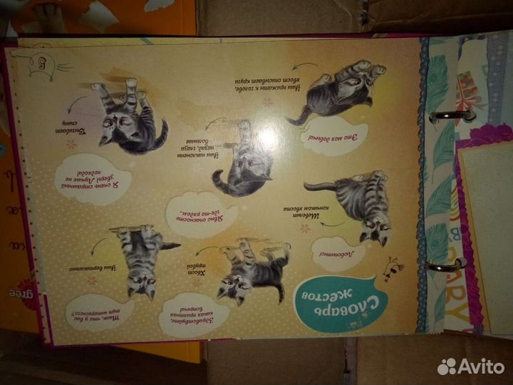 Альбом про моего котёнка