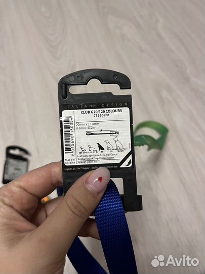 Ошейник и поводок