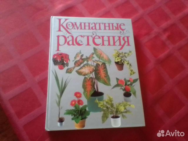 Комнатные растения (книга)