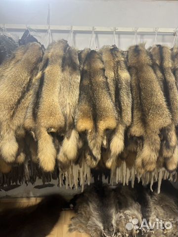 Шкуры енота
