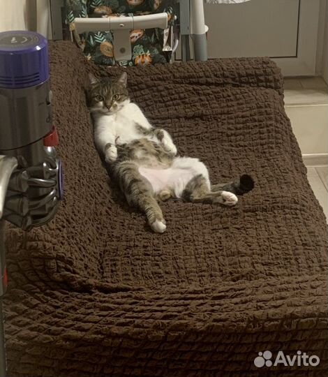 Чехол на Диван